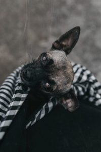 Maider-1 Maider Sierra